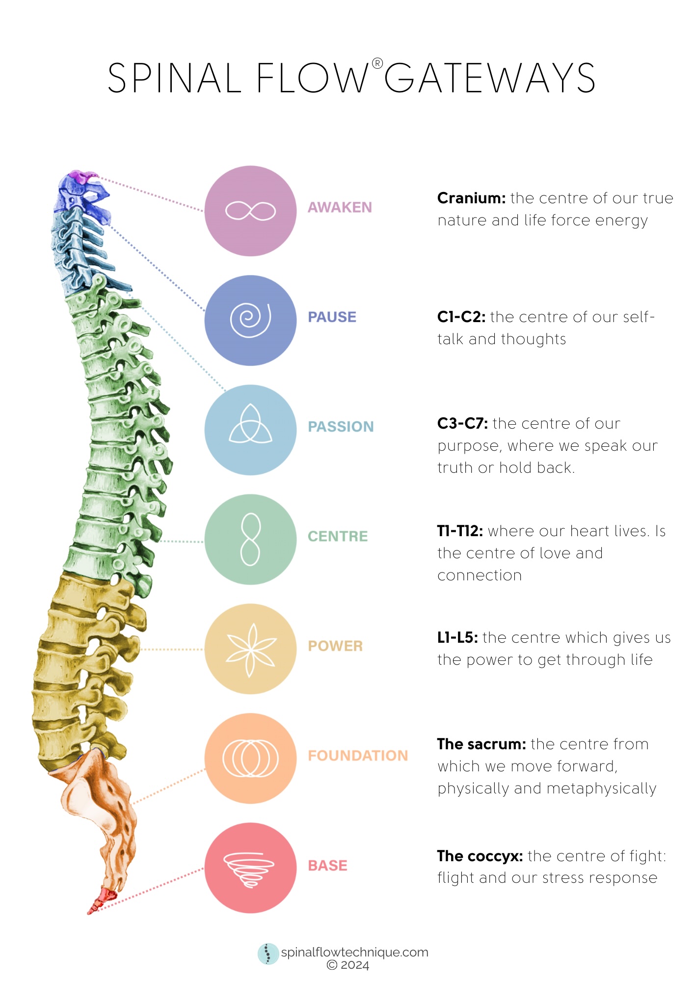 Spinal Flow Technique